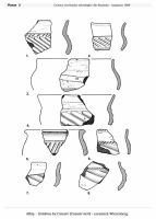 Cronica Cercetărilor Arheologice din România, Campania 1999. Raportul nr. 11, Albiş, Grădina lui Csiszér (Csiszér kert)<br /><a href='CronicaCAfotografii/1999/011/02.jpg' target=_blank>Priveşte aceeaşi imagine într-o fereastră nouă</a>