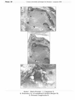 Cronica Cercetărilor Arheologice din România, Campania 1999. Raportul nr. 101, Ostrov, Piatra Frecăţei (Cetatea romană Beroe)<br /><a href='CronicaCAfotografii/1999/101/30.jpg' target=_blank>Priveşte aceeaşi imagine într-o fereastră nouă</a>