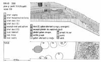 Chronicle of the Archaeological Excavations in Romania, 2000 Campaign. Report no. 29, Brad, La stâncă<br /><a href='CronicaCAfotografii/2000/029/Planse0003.jpg' target=_blank>Display the same picture in a new window</a>