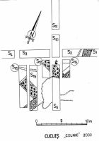 Cronica Cercetărilor Arheologice din România, Campania 2000. Raportul nr. 55, Cucuiş, Colnic (Muchia Cetăţii)<br /><a href='CronicaCAfotografii/2000/055/cucuis.jpg' target=_blank>Priveşte aceeaşi imagine într-o fereastră nouă</a>