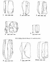 Cronica Cercetărilor Arheologice din România, Campania 2000. Raportul nr. 67, Gălăţui, Movila Berzei (Movila Coteţ, Movila Verde)<br /><a href='CronicaCAfotografii/2000/067/pl-ii-unelte-silex.jpg' target=_blank>Priveşte aceeaşi imagine într-o fereastră nouă</a>