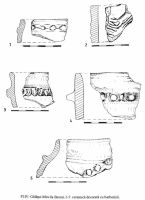 Cronica Cercetărilor Arheologice din România, Campania 2000. Raportul nr. 67, Gălăţui, Movila Berzei (Movila Coteţ, Movila Verde)<br /><a href='CronicaCAfotografii/2000/067/pl-iv-ceramica-decorata-cu-barbotina.jpg' target=_blank>Priveşte aceeaşi imagine într-o fereastră nouă</a>