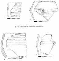 Cronica Cercetărilor Arheologice din România, Campania 2000. Raportul nr. 67, Gălăţui, Movila Berzei (Movila Coteţ, Movila Verde)<br /><a href='CronicaCAfotografii/2000/067/pl-viii-ceramica-fina.jpg' target=_blank>Priveşte aceeaşi imagine într-o fereastră nouă</a>