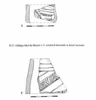 Cronica Cercetărilor Arheologice din România, Campania 2000. Raportul nr. 67, Gălăţui, Movila Berzei (Movila Coteţ, Movila Verde)<br /><a href='CronicaCAfotografii/2000/067/plv-ceramicadecoratacubenziincizate.jpg' target=_blank>Priveşte aceeaşi imagine într-o fereastră nouă</a>