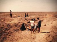 Cronica Cercetărilor Arheologice din România, Campania 2000. Raportul nr. 67, Gălăţui, Movila Berzei (Movila Coteţ, Movila Verde)<br /><a href='CronicaCAfotografii/2000/067/wgalmb-1.jpg' target=_blank>Priveşte aceeaşi imagine într-o fereastră nouă</a>