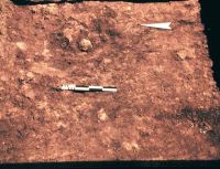 Cronica Cercetărilor Arheologice din România, Campania 2000. Raportul nr. 67, Gălăţui, Movila Berzei (Movila Coteţ, Movila Verde)<br /><a href='CronicaCAfotografii/2000/067/wgalmb-3.jpg' target=_blank>Priveşte aceeaşi imagine într-o fereastră nouă</a>