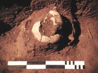 Cronica Cercetărilor Arheologice din România, Campania 2000. Raportul nr. 67, Gălăţui, Movila Berzei (Movila Coteţ, Movila Verde)<br /><a href='CronicaCAfotografii/2000/067/wgalmb-4.jpg' target=_blank>Priveşte aceeaşi imagine într-o fereastră nouă</a>