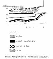 Chronicle of the Archaeological Excavations in Romania, 2000 Campaign. Report no. 78, Grădiştea, Grădiştea Ceacu (Boian; La Castel)<br /><a href='CronicaCAfotografii/2000/078/plansa-2-gradistea-profilul-estic-al-bordeiului-2.jpg' target=_blank>Display the same picture in a new window</a>