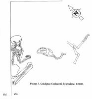 Chronicle of the Archaeological Excavations in Romania, 2000 Campaign. Report no. 78, Grădiştea, Grădiştea Ceacu (Boian; La Castel)<br /><a href='CronicaCAfotografii/2000/078/plansa-3-gradistea-coslogeni-mormantul.jpg' target=_blank>Display the same picture in a new window</a>