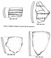 Chronicle of the Archaeological Excavations in Romania, 2000 Campaign. Report no. 78, Grădiştea, Grădiştea Ceacu (Boian; La Castel)<br /><a href='CronicaCAfotografii/2000/078/plansa-7-gradistea-coslogeni-ceramica-fina.jpg' target=_blank>Display the same picture in a new window</a>