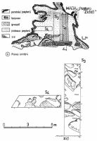 Cronica Cercetărilor Arheologice din România, Campania 2000. Raportul nr. 112, Mada, Peştera Zidită<br /><a href='CronicaCAfotografii/2000/112/MADA.jpg' target=_blank>Priveşte aceeaşi imagine într-o fereastră nouă</a>