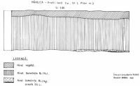 Chronicle of the Archaeological Excavations in Romania, 2000 Campaign. Report no. 115, Măriuţa, La Movilă (Movila Mică)<br /><a href='CronicaCAfotografii/2000/115/marstr2.jpg' target=_blank>Display the same picture in a new window</a>