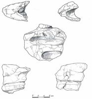 Cronica Cercetărilor Arheologice din România, Campania 2000. Raportul nr. 124, Mogoşeşti, La Cimitir<br /><a href='CronicaCAfotografii/2000/124/fig-5.jpg' target=_blank>Priveşte aceeaşi imagine într-o fereastră nouă</a>