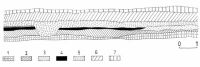 Chronicle of the Archaeological Excavations in Romania, 2000 Campaign. Report no. 182, Sebeş<br /><a href='CronicaCAfotografii/2000/182/fig-2.jpg' target=_blank>Display the same picture in a new window</a>