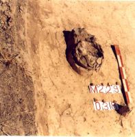 Cronica Cercetărilor Arheologice din România, Campania 2000. Raportul nr. 192, Stelnica, Grădiştea Mare<br /><a href='CronicaCAfotografii/2000/192/STEL1.jpg' target=_blank>Priveşte aceeaşi imagine într-o fereastră nouă</a>