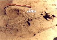 Cronica Cercetărilor Arheologice din România, Campania 2000. Raportul nr. 192, Stelnica, Grădiştea Mare<br /><a href='CronicaCAfotografii/2000/192/STEL2.jpg' target=_blank>Priveşte aceeaşi imagine într-o fereastră nouă</a>