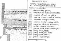 Cronica Cercetărilor Arheologice din România, Campania 2000. Raportul nr. 203, Târgovişte, Parcul Chindia<br /><a href='CronicaCAfotografii/2000/203/PL3.jpg' target=_blank>Priveşte aceeaşi imagine într-o fereastră nouă</a>