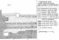 Cronica Cercetărilor Arheologice din România, Campania 2000. Raportul nr. 203, Târgovişte, Parcul Chindia<br /><a href='CronicaCAfotografii/2000/203/PL4.jpg' target=_blank>Priveşte aceeaşi imagine într-o fereastră nouă</a>