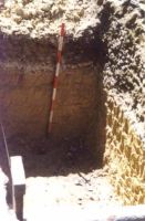 Cronica Cercetărilor Arheologice din România, Campania 2000. Raportul nr. 203, Târgovişte, Parcul Chindia<br /><a href='CronicaCAfotografii/2000/203/fig2.jpg' target=_blank>Priveşte aceeaşi imagine într-o fereastră nouă</a>