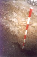 Cronica Cercetărilor Arheologice din România, Campania 2000. Raportul nr. 204, Târgovişte, Biserica Grecilor/Hanul Grecilor (Hanul Grecilor)<br /><a href='CronicaCAfotografii/2000/204/fig4.jpg' target=_blank>Priveşte aceeaşi imagine într-o fereastră nouă</a>