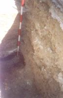 Cronica Cercetărilor Arheologice din România, Campania 2000. Raportul nr. 204, Târgovişte, Biserica Grecilor/Hanul Grecilor (Hanul Grecilor)<br /><a href='CronicaCAfotografii/2000/204/fig6.jpg' target=_blank>Priveşte aceeaşi imagine într-o fereastră nouă</a>