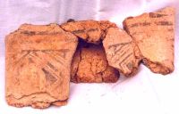 Cronica Cercetărilor Arheologice din România, Campania 2000. Raportul nr. 205, Târgu Frumos, Baza Pătule<br /><a href='CronicaCAfotografii/2000/205/fig-5-tg-frumos.jpg' target=_blank>Priveşte aceeaşi imagine într-o fereastră nouă</a>