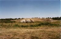 Cronica Cercetărilor Arheologice din România, Campania 2000. Raportul nr. 226, Vitanesti, La Măgurice (Teleor 007)<br /><a href='CronicaCAfotografii/2000/226/fig7.jpg' target=_blank>Priveşte aceeaşi imagine într-o fereastră nouă</a>