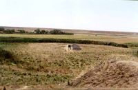 Cronica Cercetărilor Arheologice din România, Campania 2000. Raportul nr. 226, Vitanesti, La Măgurice (Teleor 007)<br /><a href='CronicaCAfotografii/2000/226/fig8.jpg' target=_blank>Priveşte aceeaşi imagine într-o fereastră nouă</a>