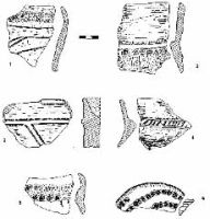 Chronicle of the Archaeological Excavations in Romania, 2000 Campaign. Report no. 231, Zidurile, Măgura lui Păun Ciobanul<br /><a href='CronicaCAfotografii/2000/231/fig-8.jpg' target=_blank>Display the same picture in a new window</a>