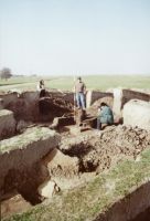 Chronicle of the Archaeological Excavations in Romania, 2001 Campaign. Report no. 2, Adâncata, Imaş.<br /> Sector T8-2003.<br /><a href='CronicaCAfotografii/2001/002/t2-central-demontare-aafasfs.jpg' target=_blank>Display the same picture in a new window</a>