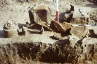 Chronicle of the Archaeological Excavations in Romania, 2001 Campaign. Report no. 2, Adâncata, Imaş.<br /> Sector T8-2003.<br /><a href='CronicaCAfotografii/2001/002/t2-craniu-adult-mormant-c.JPG' target=_blank>Display the same picture in a new window</a>