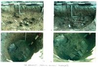 Chronicle of the Archaeological Excavations in Romania, 2001 Campaign. Report no. 26, Băneşti, Dealul Domnii<br /><a href='CronicaCAfotografii/2001/026/Pl5.jpg' target=_blank>Display the same picture in a new window</a>