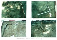 Chronicle of the Archaeological Excavations in Romania, 2001 Campaign. Report no. 26, Băneşti, Dealul Domnii<br /><a href='CronicaCAfotografii/2001/026/Pl7.jpg' target=_blank>Display the same picture in a new window</a>