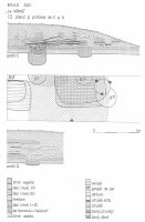 Chronicle of the Archaeological Excavations in Romania, 2001 Campaign. Report no. 38, Brad, La stâncă<br /><a href='CronicaCAfotografii/2001/038/brad-1.jpg' target=_blank>Display the same picture in a new window</a>