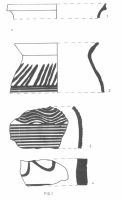 Chronicle of the Archaeological Excavations in Romania, 2001 Campaign. Report no. 40, Brăneşti, La Zgâriata<br /><a href='CronicaCAfotografii/2001/040/03.jpg' target=_blank>Display the same picture in a new window</a>