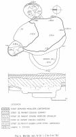 Cronica Cercetărilor Arheologice din România, Campania 2001. Raportul nr. 43, Bucu, Pochina Bucu (Rezervaţia Arheologică)<br /><a href='CronicaCAfotografii/2001/043/fig-4.jpg' target=_blank>Priveşte aceeaşi imagine într-o fereastră nouă</a>