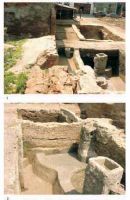 Chronicle of the Archaeological Excavations in Romania, 2001 Campaign. Report no. 44, Bucureşti<br /><a href='CronicaCAfotografii/2001/044/CovaciPlansa5.jpg' target=_blank>Display the same picture in a new window</a>