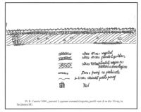 Cronica Cercetărilor Arheologice din România, Campania 2001. Raportul nr. 53, Castelu<br /><a href='CronicaCAfotografii/2001/053/p2.jpg' target=_blank>Priveşte aceeaşi imagine într-o fereastră nouă</a>