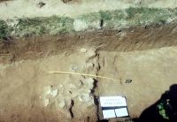 Cronica Cercetărilor Arheologice din România, Campania 2001. Raportul nr. 55, Călineşti-Oaş, Dealul Hurca (Hurcă)<br /><a href='CronicaCAfotografii/2001/055/p3.jpg' target=_blank>Priveşte aceeaşi imagine într-o fereastră nouă</a>