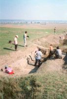 Chronicle of the Archaeological Excavations in Romania, 2001 Campaign. Report no. 62, Cârlomăneşti, Cetăţuia<br /><a href='CronicaCAfotografii/2001/062/008.jpg' target=_blank>Display the same picture in a new window</a>