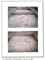 Chronicle of the Archaeological Excavations in Romania, 2001 Campaign. Report no. 65, Cheia, Vatra satului.<br /> Sector ILUSTRATIE-CHEIA-2017.<br /><a href='CronicaCAfotografii/2001/065/pl-ii.jpg' target=_blank>Display the same picture in a new window</a>