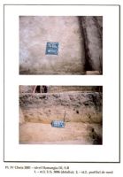 Chronicle of the Archaeological Excavations in Romania, 2001 Campaign. Report no. 65, Cheia, Vatra satului.<br /> Sector ILUSTRATIE-CHEIA-2017.<br /><a href='CronicaCAfotografii/2001/065/pl-iv.jpg' target=_blank>Display the same picture in a new window</a>