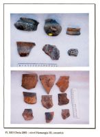 Chronicle of the Archaeological Excavations in Romania, 2001 Campaign. Report no. 65, Cheia, Vatra satului.<br /> Sector ILUSTRATIE-CHEIA-2017.<br /><a href='CronicaCAfotografii/2001/065/pl-xiii.jpg' target=_blank>Display the same picture in a new window</a>