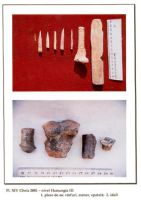 Chronicle of the Archaeological Excavations in Romania, 2001 Campaign. Report no. 65, Cheia, Vatra satului.<br /> Sector ILUSTRATIE-CHEIA-2017.<br /><a href='CronicaCAfotografii/2001/065/pl-xiv.jpg' target=_blank>Display the same picture in a new window</a>