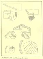 Chronicle of the Archaeological Excavations in Romania, 2001 Campaign. Report no. 65, Cheia, Vatra satului.<br /> Sector ILUSTRATIE-CHEIA-2017.<br /><a href='CronicaCAfotografii/2001/065/pl-xxii.jpg' target=_blank>Display the same picture in a new window</a>