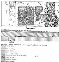 Chronicle of the Archaeological Excavations in Romania, 2001 Campaign. Report no. 83, Desa, La ruptură<br /><a href='CronicaCAfotografii/2001/083/fig18.jpg' target=_blank>Display the same picture in a new window</a>