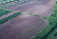 Cronica Cercetărilor Arheologice din România, Campania 2001. Raportul nr. 89, Dudeştii Vechi, Movila lui Deciov (Östelep)<br /><a href='CronicaCAfotografii/2001/089/dudesti01.jpg' target=_blank>Priveşte aceeaşi imagine într-o fereastră nouă</a>