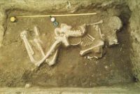 Cronica Cercetărilor Arheologice din România, Campania 2001. Raportul nr. 89, Dudeştii Vechi, Movila lui Deciov (Östelep)<br /><a href='CronicaCAfotografii/2001/089/dudesti02.jpg' target=_blank>Priveşte aceeaşi imagine într-o fereastră nouă</a>