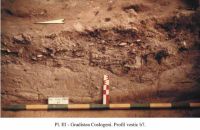 Chronicle of the Archaeological Excavations in Romania, 2001 Campaign. Report no. 107, Grădiştea, Grădiştea Ceacu (Boian; La Castel)<br /><a href='CronicaCAfotografii/2001/107/coslogeni-iii.jpg' target=_blank>Display the same picture in a new window</a>