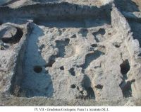 Chronicle of the Archaeological Excavations in Romania, 2001 Campaign. Report no. 107, Grădiştea, Grădiştea Ceacu (Boian; La Castel)<br /><a href='CronicaCAfotografii/2001/107/coslogeni-vii.jpg' target=_blank>Display the same picture in a new window</a>